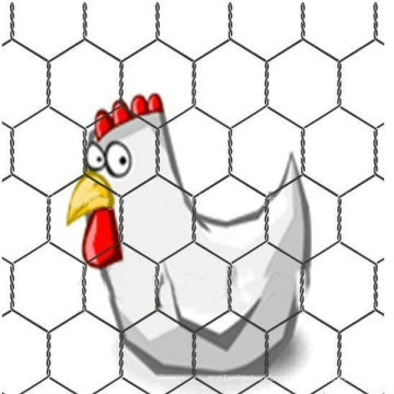 High Quality Galvanized Chicken Wire Mesh (ECW-01)